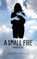 Small Fire, A
