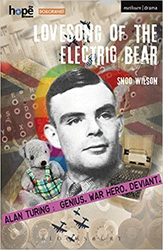 Love Song For the Electric Bear